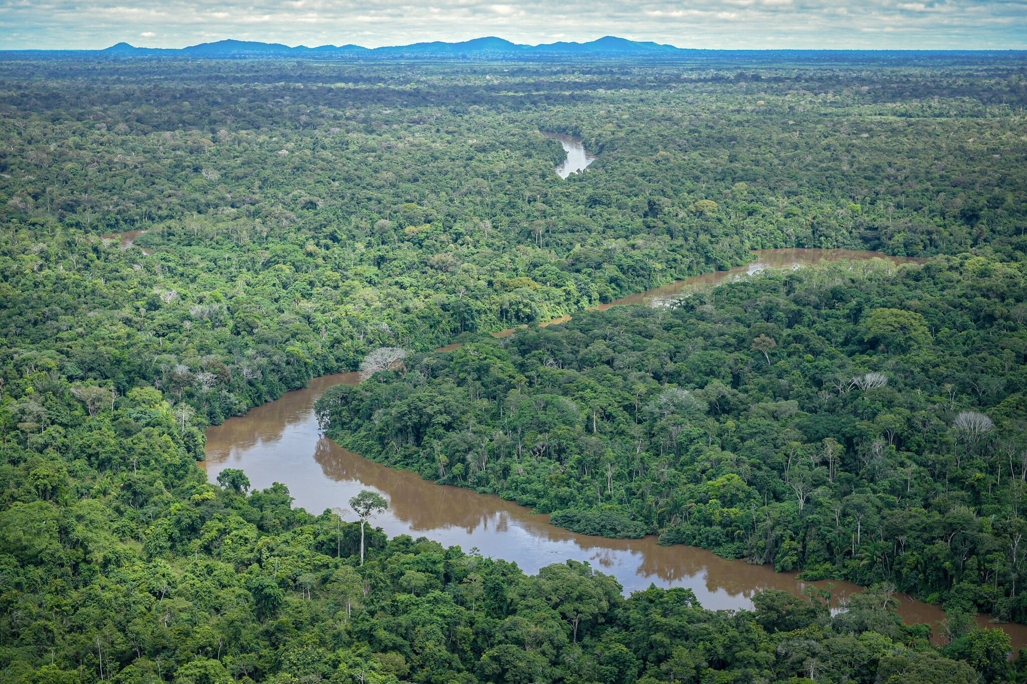 Vista aérea da Terra Indígena Pirititi, em Roraima.