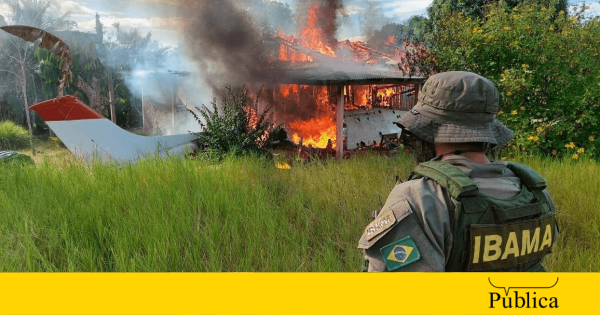 Operação do Ibama na terra Yanomami demonstra que garimpeiros persistem na invasão