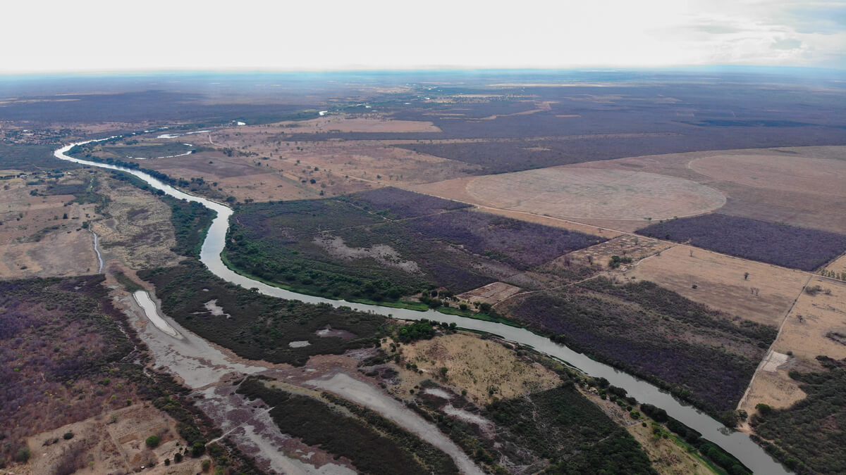 Imagem do Cerrado baiano mostra rio sinuoso margeado por áreas desmatadas