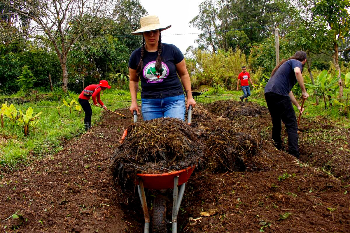 Pessoas em plantação do MST