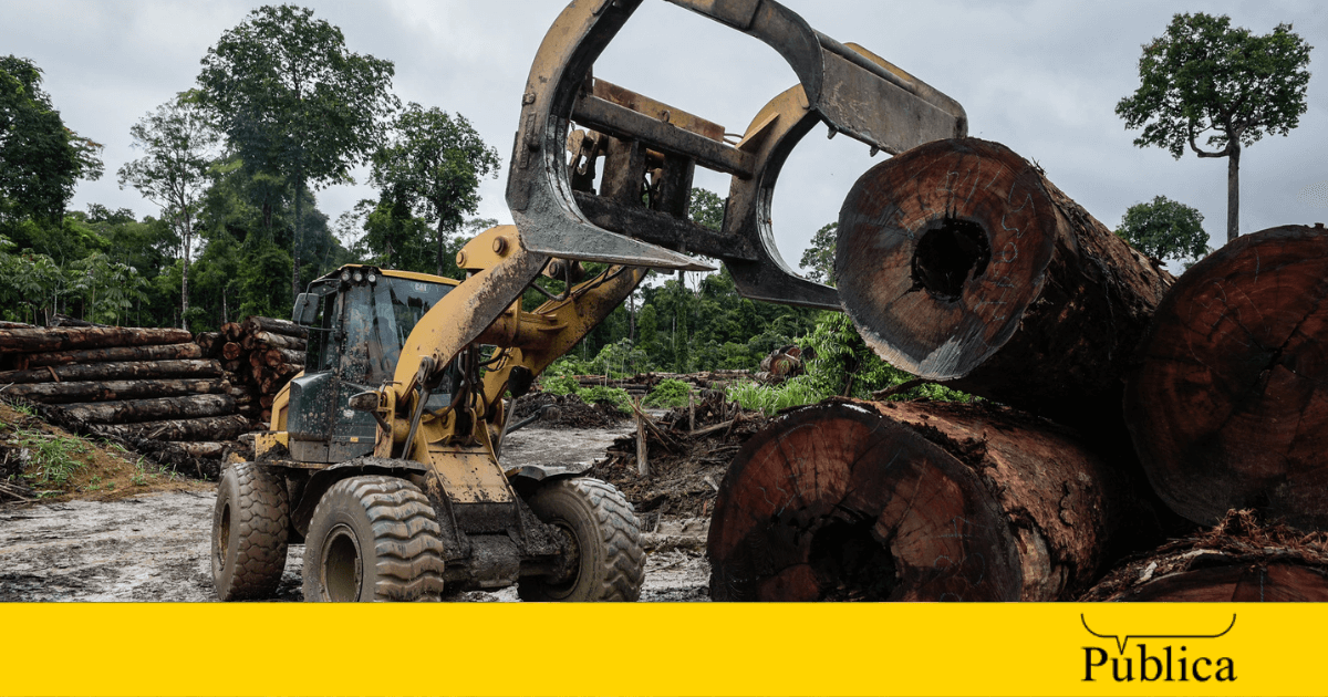 Amazônia ameaçada: Colniza, um retrato do desmatamento em Mato Grosso