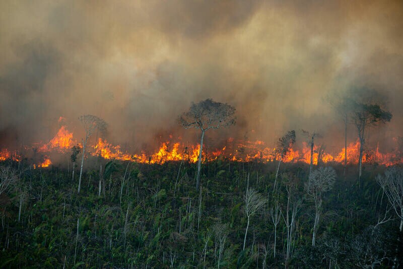 Desmatamento em área de floresta. Na imagem podemos ver árvores sendo queimadas, com uma coluna de fogo e fumaça na linha do horizonte