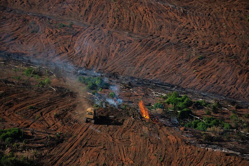 Imagem aérea mostra região de floresta desmatada, com poucas árvores ainda em pé, algumas toras de madeira no chão de terra batido, um pequeno foco de foco e um veículo agrícola 