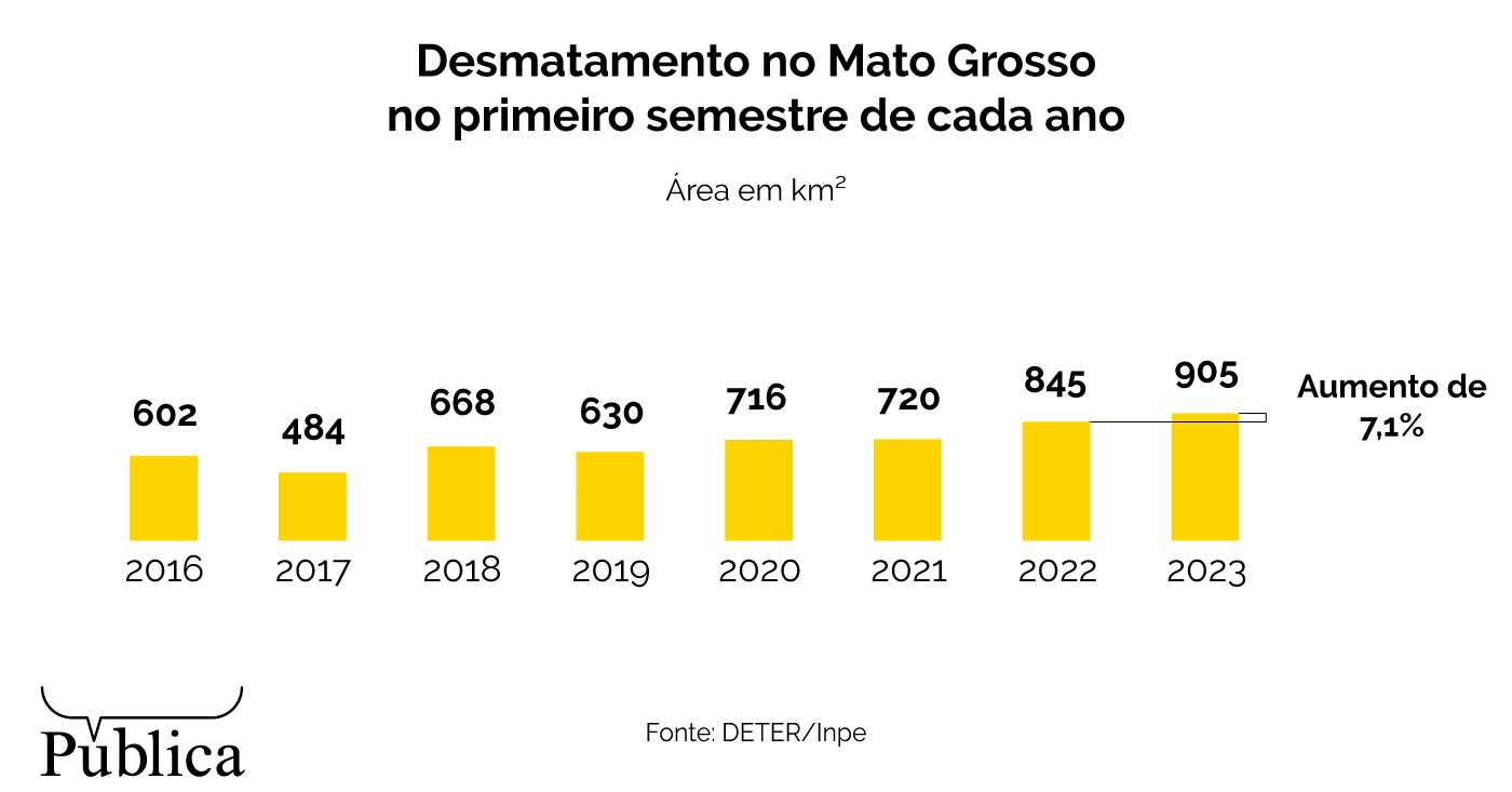Infográfico indica desmatamento no Mato Grosso no primeiro semestre de cada ano, de 2016 a 2023