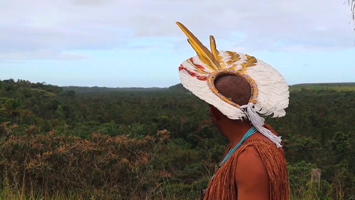 Homem indígena Pataxó observa o horizonte da floresta.