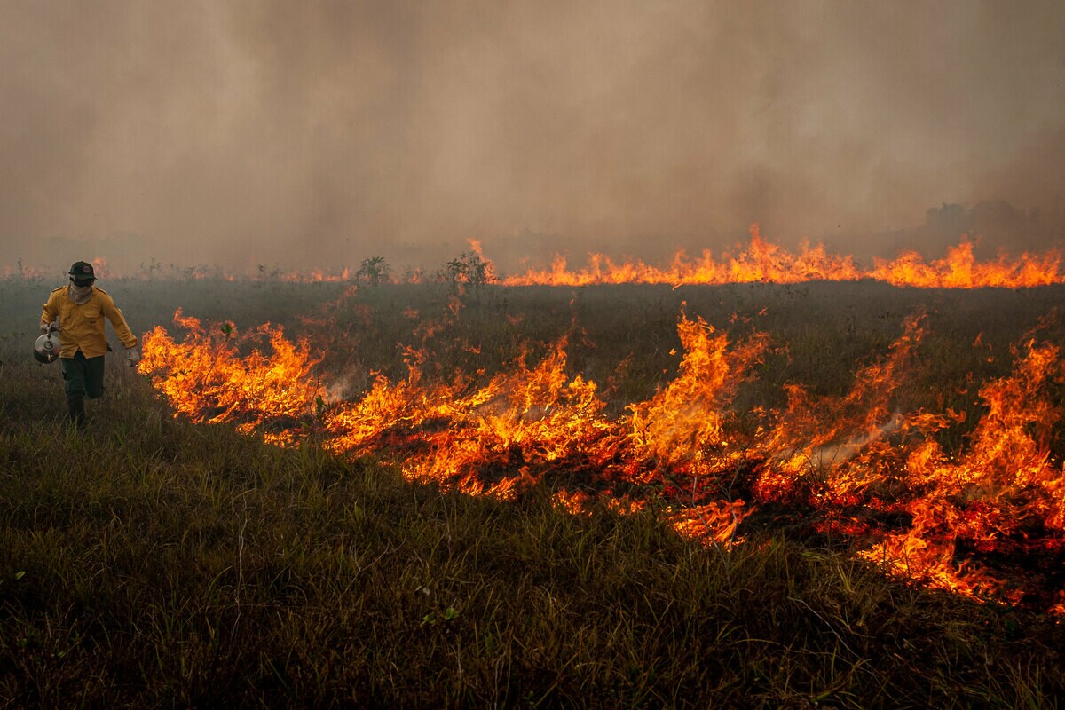 Servidor do Prevfogo apaga incêndio florestal em área de mata aberta