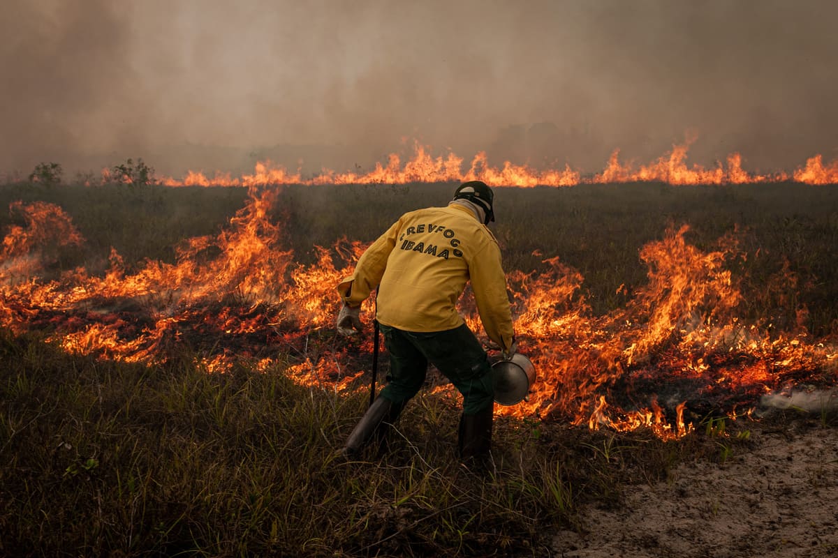 Funcionário do Ibama durante ação de combate ao fogo