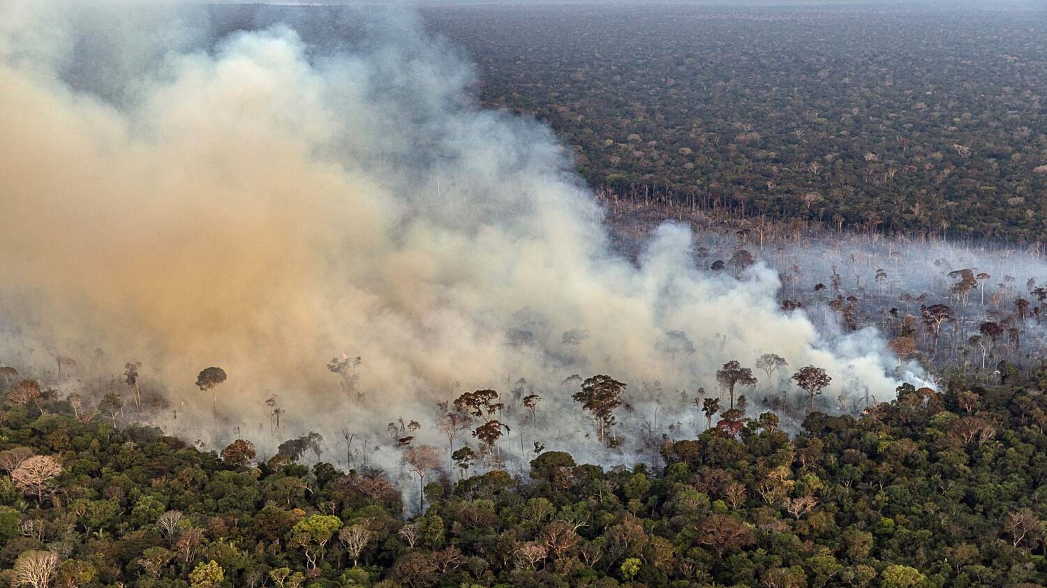 Queimada em desmatamento recente na Gleba Abelhas, uma floresta pública não destinada federal localizada no município de Canutama, Amazonas.