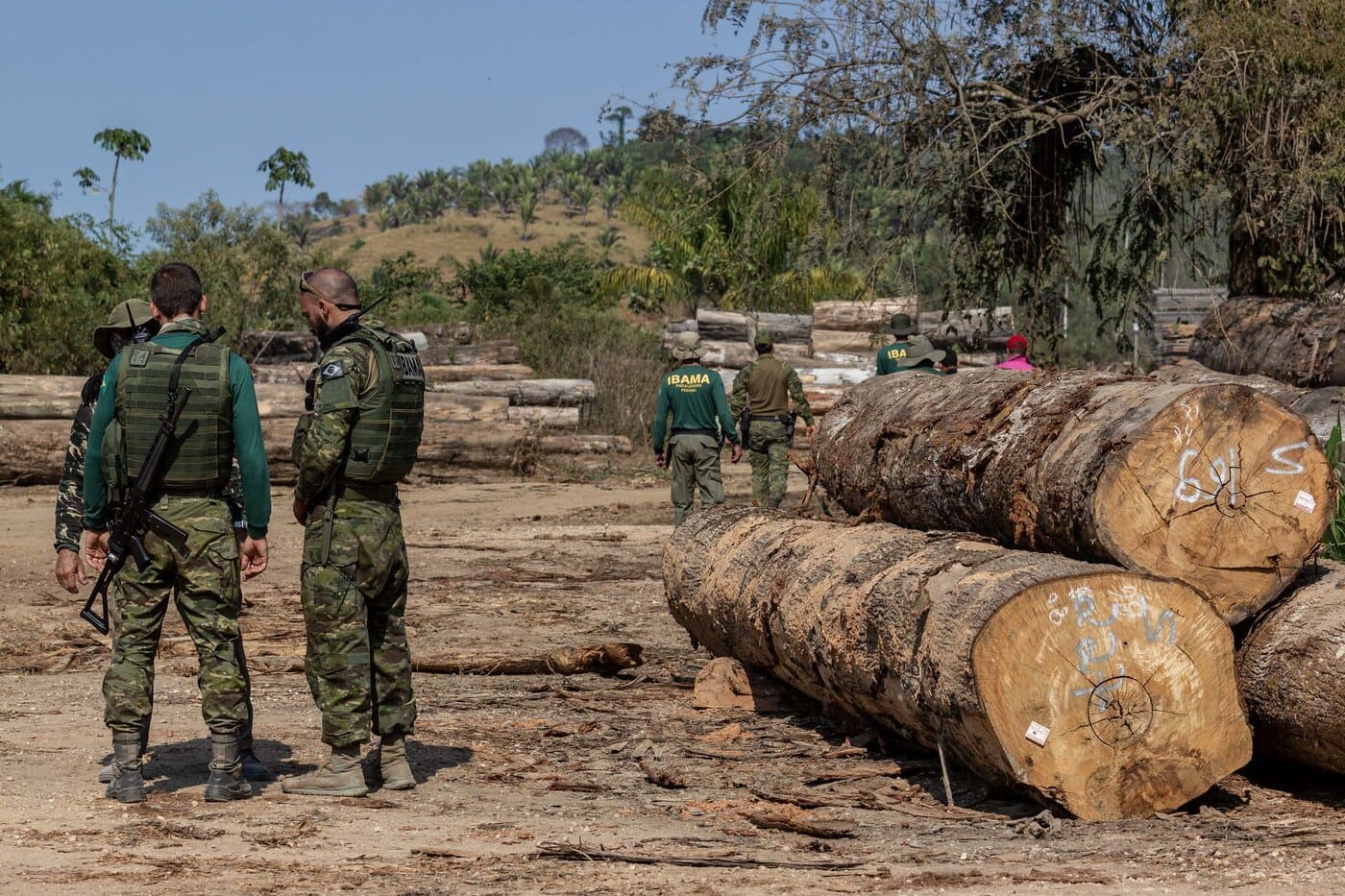 Ibama, Exército e Polícia Militar de Rondônia fiscalizam cadeia de custódia da madeira e desmatamento ilegal em Espigão do Oeste (RO)