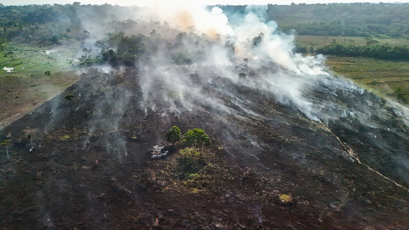 Imagem aérea de local desmatado em Rurópolis