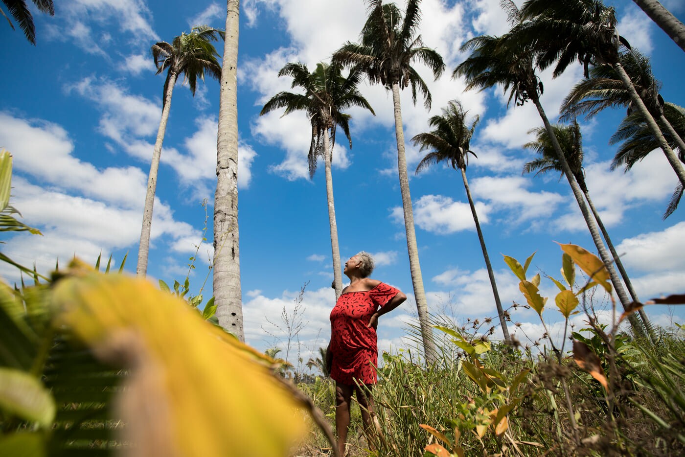 Mulher indígena olha floresta ao seu redor no Maranhão