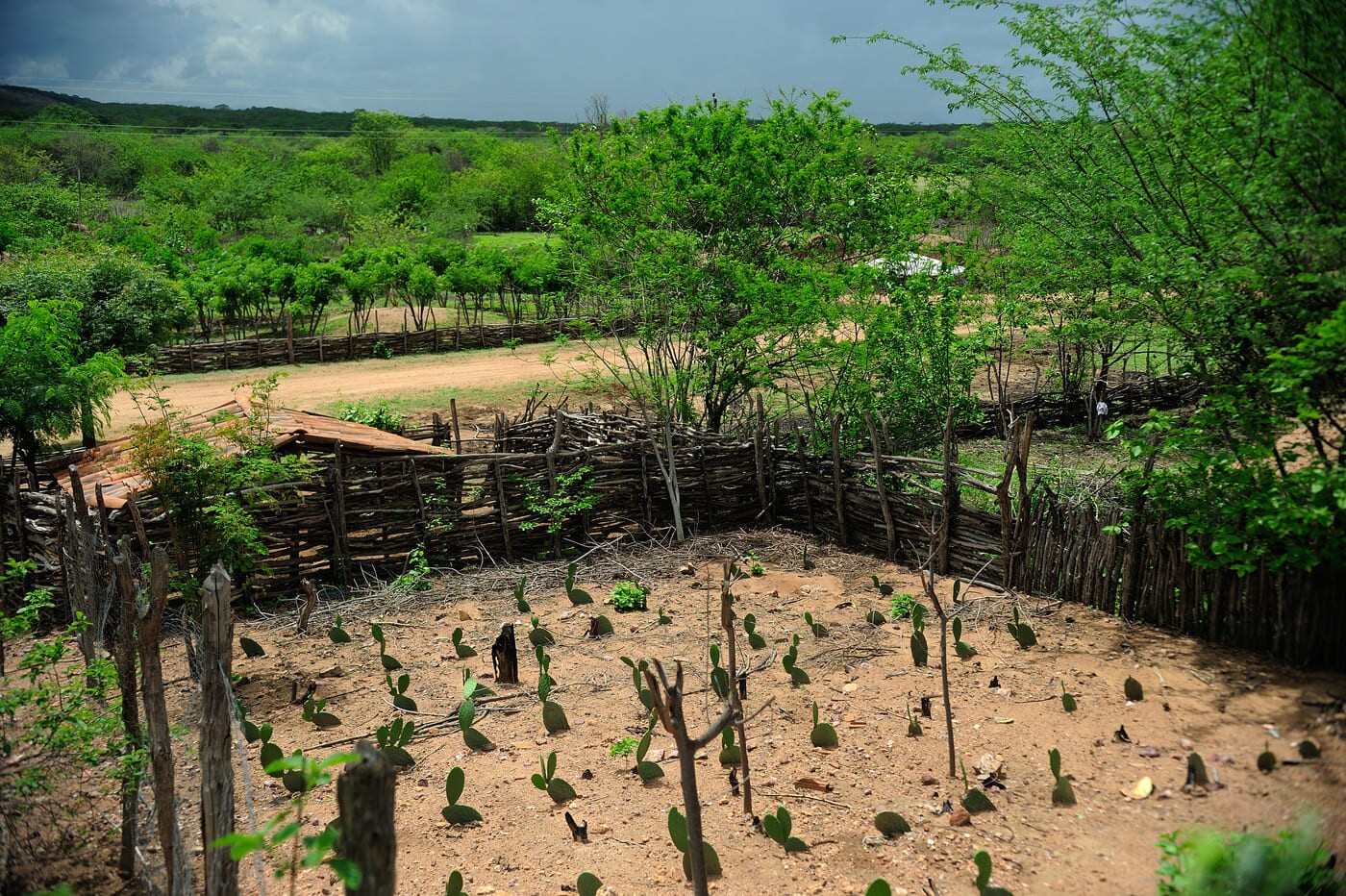 Período de seca na comunidade rural de Irapuá; moradores vivem de agroecologia