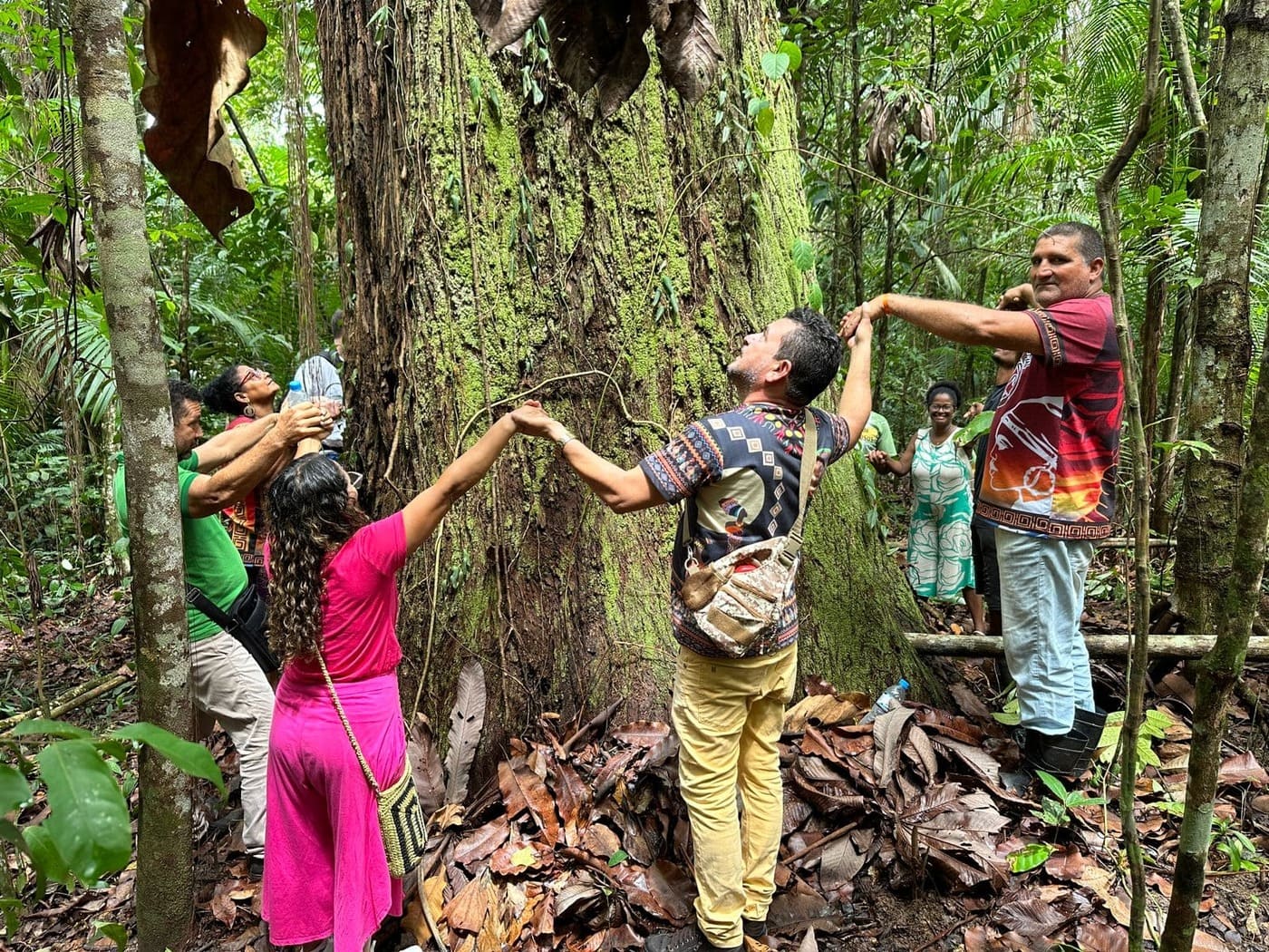 Moradores ‘abraçam’ castanheira no Território Quilombola Menino Jesus, em Acará, no Pará