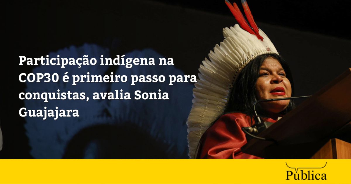 Sonia Guajajara: ‘participação indígena já é conquista’ da COP30