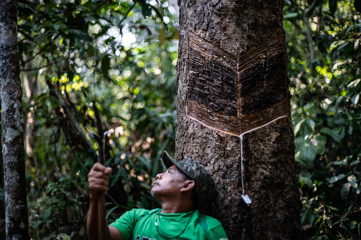 Indígena coleta látex na Amazônia