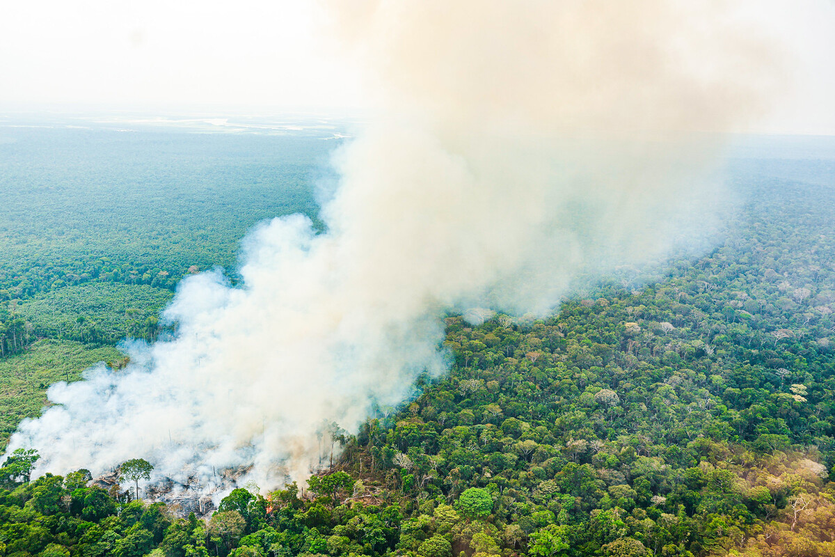 Visita a Comunidade de Campo Novo, observado em foto um dos crimes ambientais. Tefé - AM.