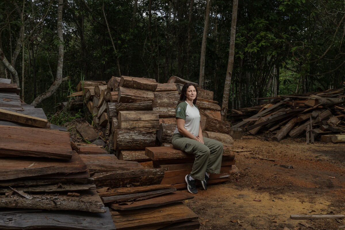 June 11, 2025. Biologist Aline Polli sits on trunks of brazilwood (Paubrasilia echinata) illegally logged at night and later recovered by forest guards, with an estimated value of 5 million reais (approximately €800,000). Polli oversees Pau Brasil National Park, the largest protected remnant of the Atlantic Forest in southern Bahia, created in 1999 and managed by ICMBio.