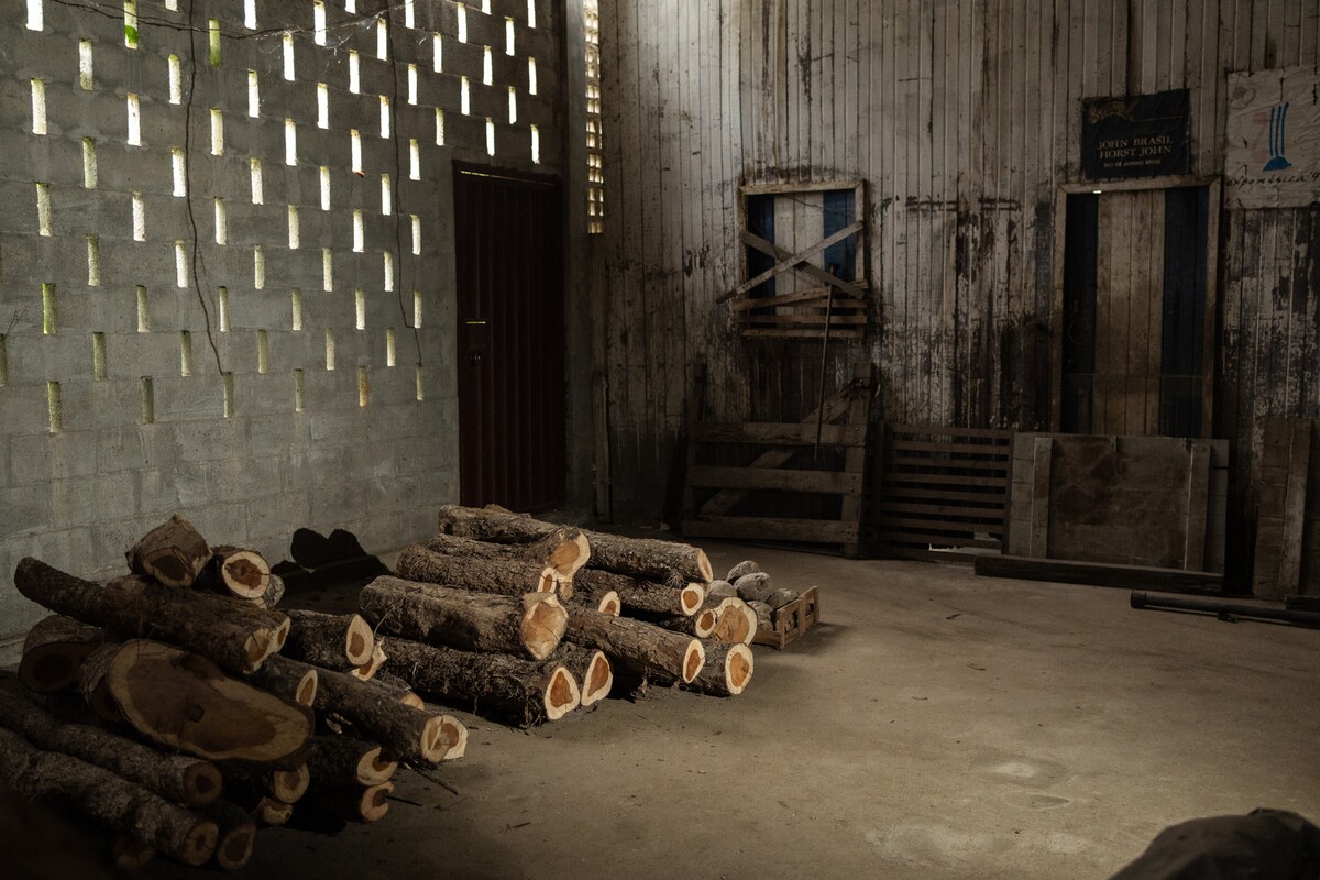 June 19, 2025. Historic laboratory of Horst John, founded in the 1970s, in Guaraná, Aracruz, Espírito Santo, Brazil. Logs of pau-brasil (Paubrasilia echinata) are stacked on the floor to the left. German entrepreneur Horst Ewald Gunther John is recognized as the originator of Brazil’s bowmaking tradition. After his death in 1997, the property passed to Jacy de Souza. The estate includes a church with a pau-brasil floor and over 11,000 pau-brasil trees planted since the 1980s. The atelier remains inactive due to concerns over law enforcement controls.