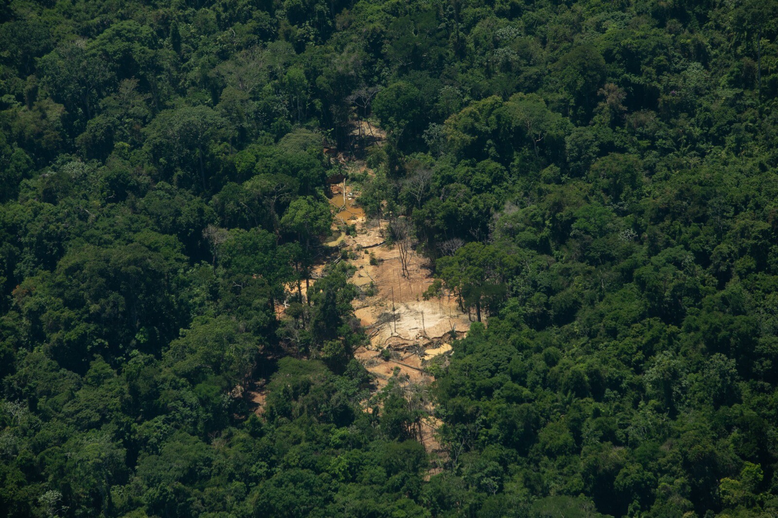 Garimpo na Terra Indígena Baú em 2026.
