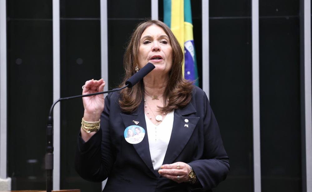 Dep. Bia Kicis (PL - DF)